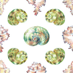 Shell pattern underwater world in watercolor. Murex Endivia, Conch Snail, Turbo shell, Moon snail sea shells with different form. Sea snails can be used as a sticker, a printed postcard, poster for a