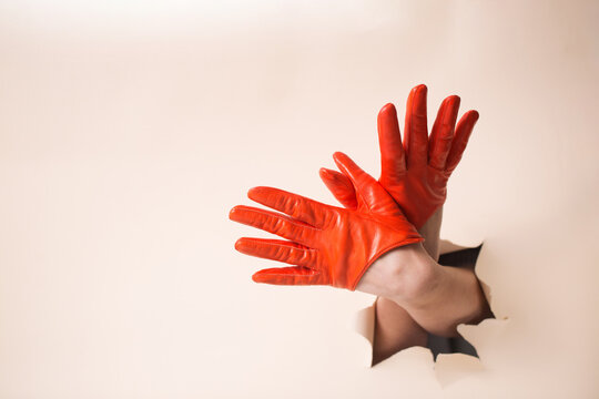Two female hands in orange leather gloves showing a bird