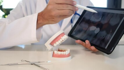 Professional dentist explaining dental issue, pointing at molar model, holding electric toothbrush and tablet displaying x-ray