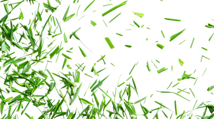 A collection of scattered green grass blades creating a dynamic, lively appearance.