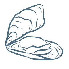 Line Art Illustration of Oyster. Vector Graphic.