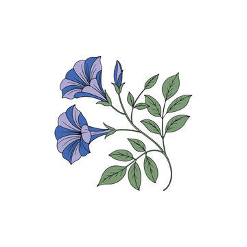 Petunia clip art preview