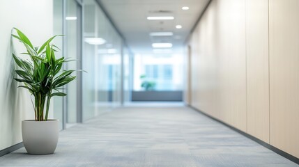 Obraz premium Modern Office Corridor with Indoor Plant and Neutral Color Palette