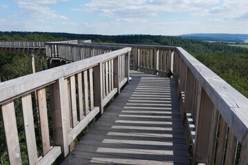 Baumwipfelweg bei Bad Camberg im Taunus
