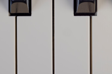 black and white piano keys in close-up