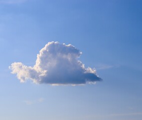 The single white cloud in the bright blue sky.