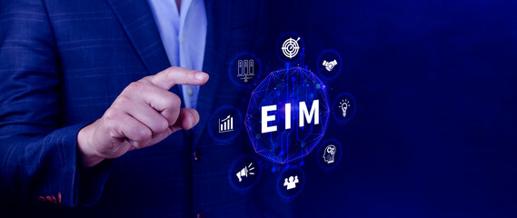 EIM Enterprise information management system, EIM Global Network with Analyzing Technological Data, Efficient Information Management, Network Connection.