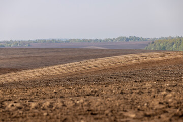fertile soil in spring during the preparation for sowing
