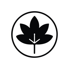 Premium Maple Leaf Vector Icon – AI-Generated Nature Clipart & Leaf Design Illustration.