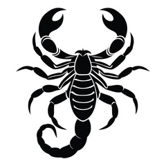 scorpion silhouette isolated on white background