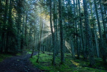 Obraz premium Paysages et natures morte en automne avec des rayons de soleil 