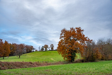 Paysages et natures morte en automne avec des rayons de soleil 
