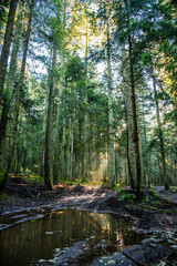 Fototapeta premium Paysages et natures mortes en automne avec vue du ciel 