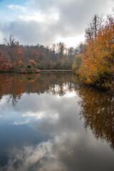 Fototapeta premium Nature et paysages en foret pendant l'automne 