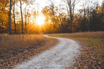 Autumn Sunset Path Winding Through Golden Woods