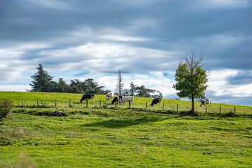Paysages et Natures Mortes en automne 