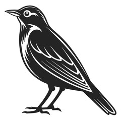 Obraz premium bird on a branch