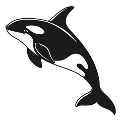 silhouette of a shark