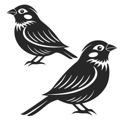 bird on a branch