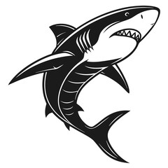 illustration of shark