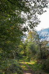 Obraz premium Paysages et Natures Mortes en automne 