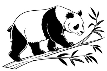 panda bear on a branch © tanvir