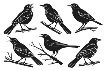 set of birds