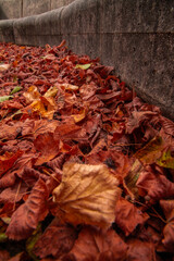 Paysages et Natures Mortes en automne 