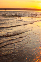 beautiful sunset over the sea