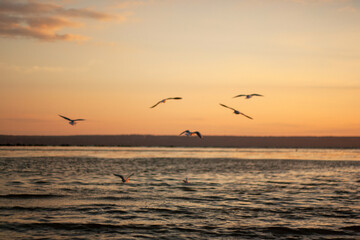 beautiful sunset over the sea