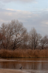 beautiful sunset over the sea