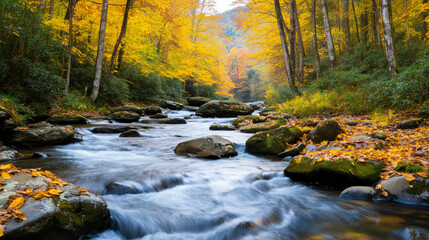 mountain stream flows through vibrant autumn forest, showcasing nature beauty
