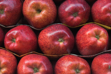 A basket of red juicy Kashmiri apples 