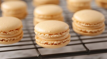 Easy French Macarons With Copy Space