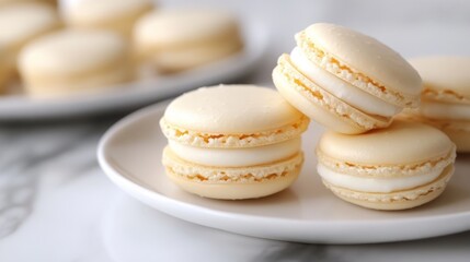 Easy French Macarons With Copy Space