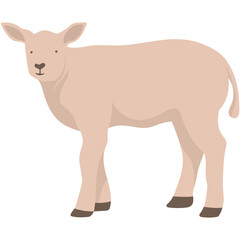 Eid al-Adha Sacrificial Animal. Islamic Sacrifial Animal.