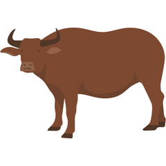 Eid al-Adha Sacrificial Animal. Islamic Sacrifial Animal.