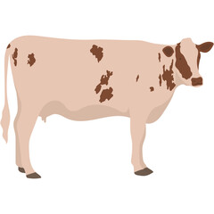 Eid al-Adha Sacrificial Animal. Islamic Sacrifial Animal.