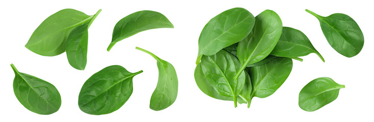 Baby spinach leaves isolated on white background. Top view. Flat lay