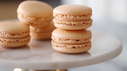 Easy French Macarons With Copy Space
