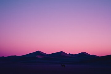 Fototapeta premium Desert Camel Silhouette Under Pink Sky at Sunset