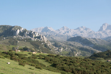 Naklejka premium View of the Picos de Europa from the Covadonga Lakes in Asturias, Spain