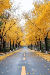 Fototapeta premium A Beautiful Autumn Scene with Yellow Ginkgo Trees Lining a Quiet Street, Fallen Leaves Covering the Ground, and a Foggy Atmosphere Creating a Serene Ambiance