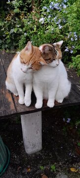 Jannik & Anna