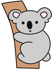 Fototapeta premium Koala