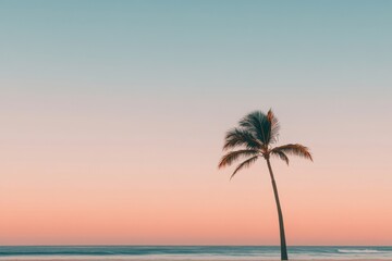 Obraz premium Solitary Palm Tree Silhouette at Peaceful Beach Sunset