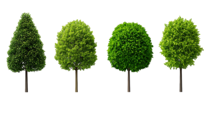 Majestic trees against a stunning blue sky, breathtaking natural landscape lush