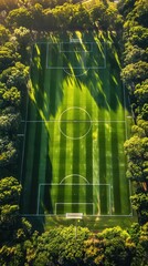 Aerial view of a soccer field surrounded by trees and grass