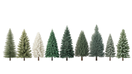 Lush rows of christmas trees, a festive holiday scene for winter celebrations and seasonal decor