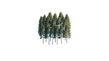 Serene blue sky and majestic trees, a digital painting of nature's tranquil beauty artistic interpretation